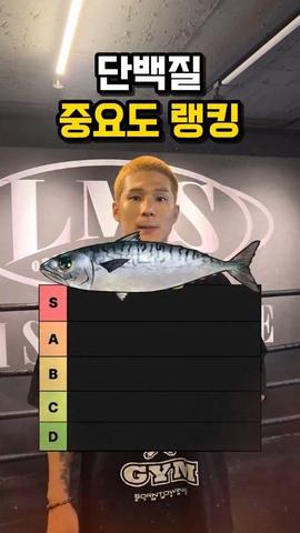 티타이거 김태범 릴스